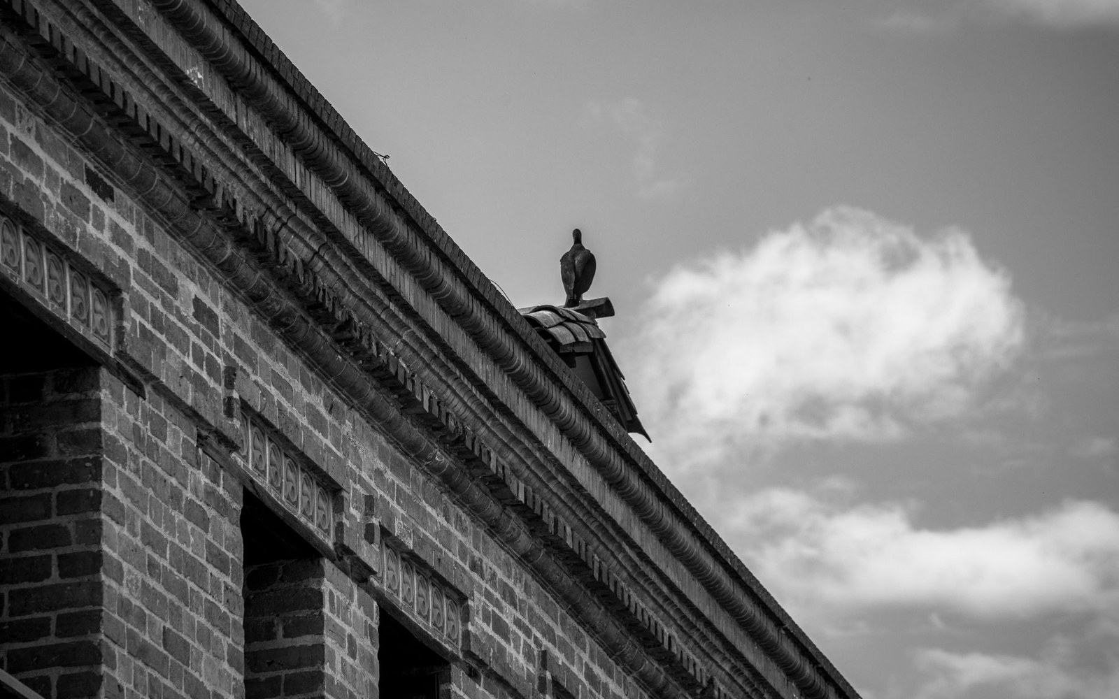 A whole block of Over-the-Rhine Italianate rooflines in one long horizontal strip, cast-iron brackets repeating in low afternoon sun, letterbox crop 1600×560